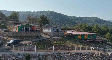 Kozan'da hedef sıfır sahipsiz sokak hayvanı