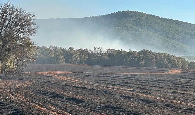 Kütahya Altıntaş'taki arazi yangını kontrol altına alındı