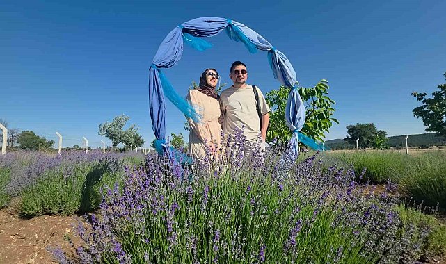 Kütahya'da lavanta bahçesi kırsal turizmin gözdesi oldu