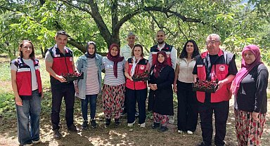 Kütahya'da organik tarım ve iyi tarım projeleri masaya yatırıldı