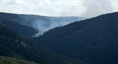 Kütahya'daki orman yangınına müdahale sürüyor: 7 helikopter, 4 uçak ve 22 arazöz görevde
