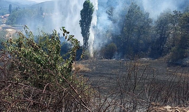 Kuyucak'ta ziraat alanındaki yangın ormana ulaşmadan söndürüldü