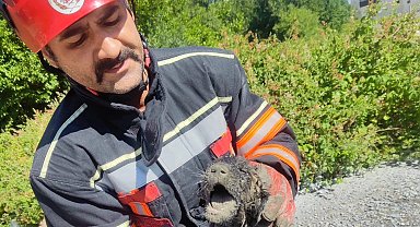 Malatya itfaiyesinden can dosta yardım eli