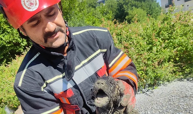 Malatya itfaiyesinden can dosta yardım eli