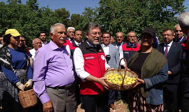 Malatya'da kayısı hasadına katılan Bakan Yumaklı: "Geçtiğimiz senenin o karamsar zamanını üzerimizden atan çok güzel bir ürün görüyoruz"
