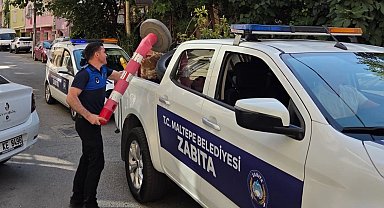 Maltepe'de kapsamlı kaldırım işgali denetimi