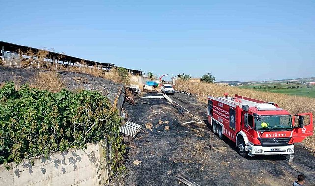 Manyas'ta otluk alan ve buğday tarlasında çıkan yangın söndürüldü