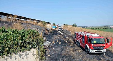 Manyas'ta otluk alan ve buğday tarlasında çıkan yangın söndürüldü