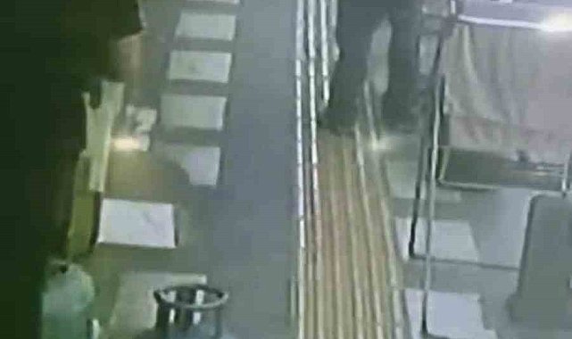 Mardin'de iş yerinin önündeki papağanın çalındığı anlar kamerada