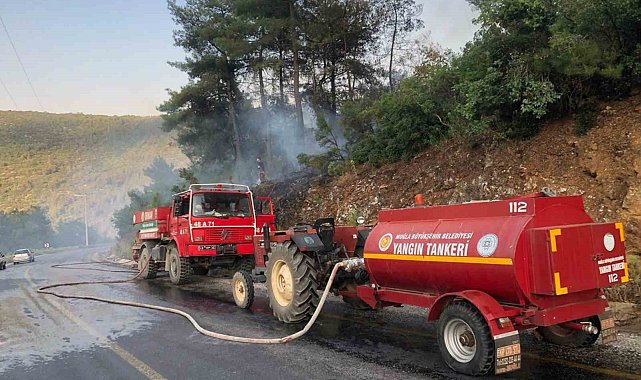 Menteşe'de orman yangını büyümeden söndürüldü
