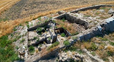 Milattan Önce 2000'li yıllara ait kazı alanı sokak köpeklerinin meskeni haline geldi