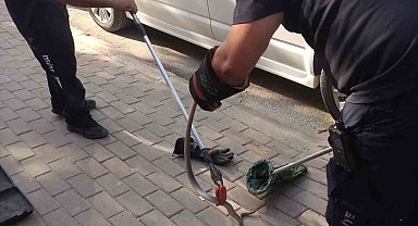 Minibüsün motoruna giren yılan itfaiye ekiplerini harekete geçirdi