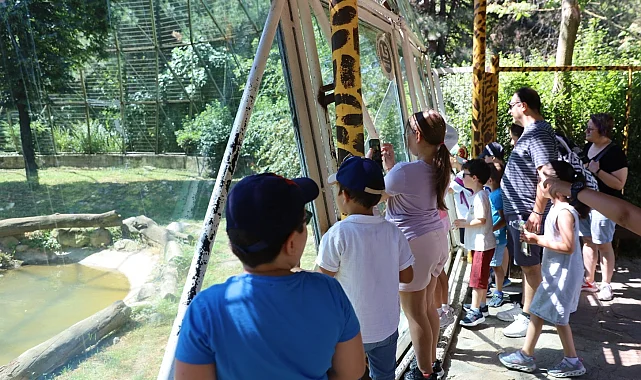 Minik kaşifler Hayvanat Bahçesi'nde