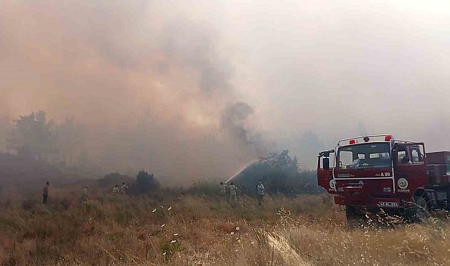 Muğla Menteşe'de orman yangını