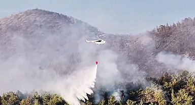 Muğla Milas'taki yangın büyük ölçüde kontrol altında