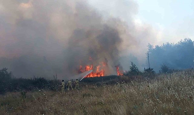 Muğla'daki orman yangınında 1 kişi gözaltına alındı