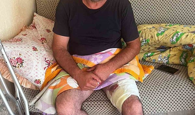 Muradiye'de arazi anlaşmazlığı silahlı kavgaya dönüştü: 1 yaralı