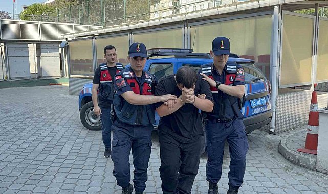Odunluğa saklanan 4 bin 531 uyuşturucu hap ele geçirildi: 1 tutuklama