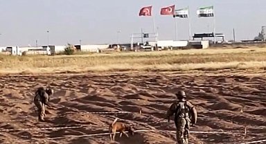 Öncüpınar Sınır Hattı'nda mayın temizleme çalışmaları sürüyor