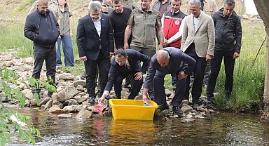 Ordu'da 35 bin doğal alabalık dereye bırakıldı