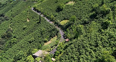 Ordu'da 3,5 kilometrelik asfalt tamamlandı