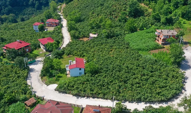 Ordu'da kırsal mahallelere beton yol konforu