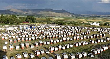 Ordulu arıcılardan ülke ekonomisine 7 milyar TL'lik katkı