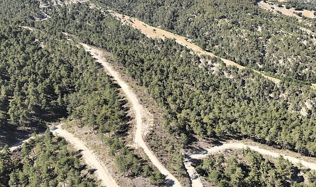 Orman köylülerine endüstriyel odundan 1 milyar TL'lik katkı