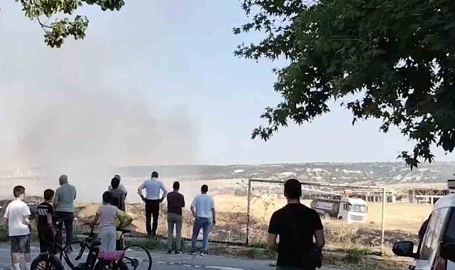 Otluk alan alevler içinde kaldı