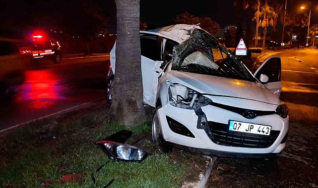 Refüjdeki palmiyeye çarpan otomobilin sürücüsü yaralandı