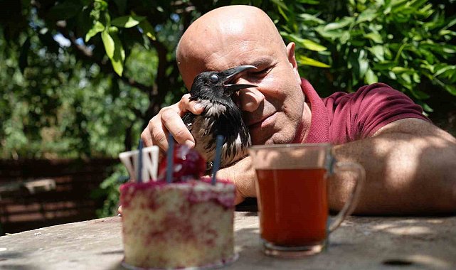 Rize çayı içen gurme kargaya özel doğum günü partisi