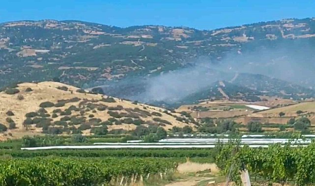 Sarıgöl'de orman yangını