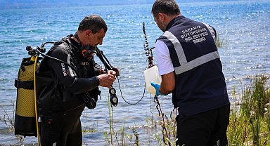 SASKİ'den Sapanca Gölü'ndeki alg oluşumuna açıklama: İçme suyu açısından risk yok