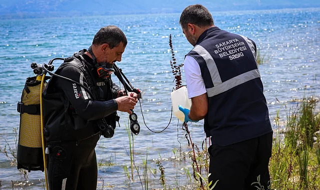 SASKİ'den Sapanca Gölü'ndeki alg oluşumuna açıklama: İçme suyu açısından risk yok