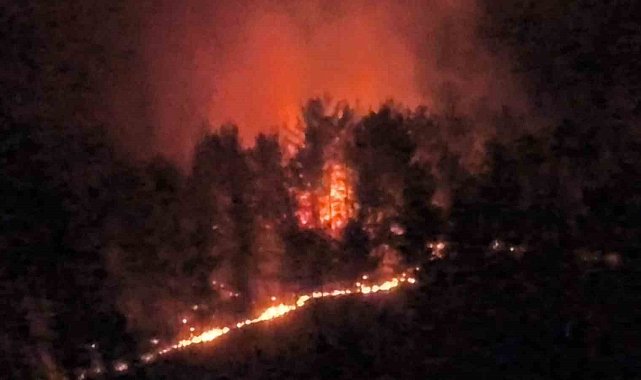 Seydikemer'de geceyi aydınlatan alevlerle mücadele aralıksız sürüyor