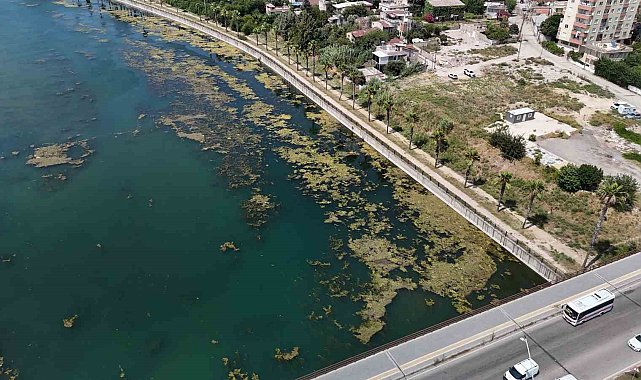 Seyhan Nehri kirliliğe teslim oldu, gönüllü genç sandalla temizliğe çıktı