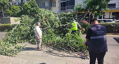 Seyir halindeki otomobilin üzerine ağaç devrildi