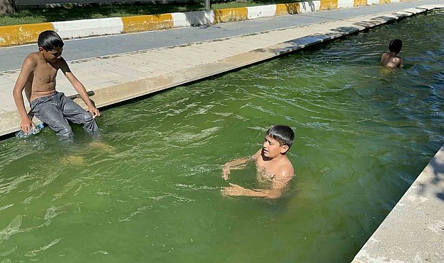 Sıcaktan bunalan ve süs havuzuna giren çocuklardan "zabıta" itirafı