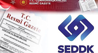 Sigortacılık Destek Hizmetlerinde yeni dönem... Hasar araştırmacıları ve asistans şirketlerine izin şartı getirildi