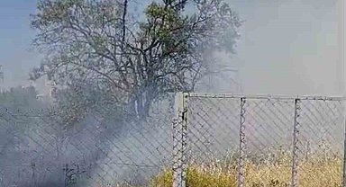 Siirt'te evin bahçesinde çıkan yangında meyve ağaçları kül oldu