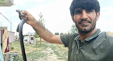 Siirt'te evine giren yılanı eliyle yakaladı