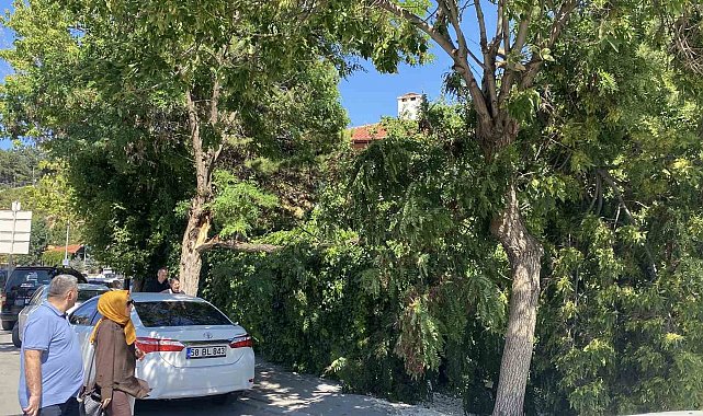 Sivas Valiliği uyarmıştı, rüzgar hasara yol açtı