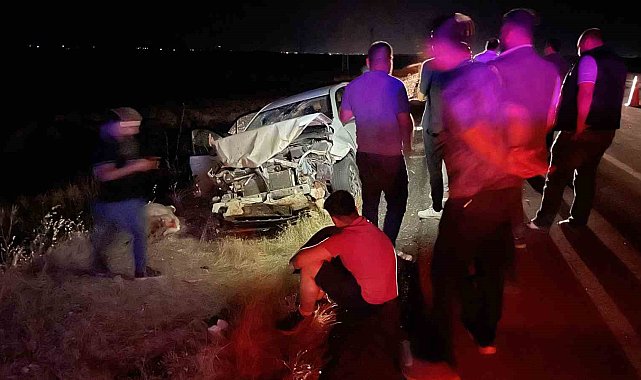 Siverek'te otomobil koyun sürüsüne daldı: 3 kişi yaralandı, 11 koyun telef oldu
