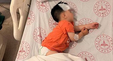 Sokak köpeklerinin saldırdığı 1 buçuk yaşındaki çocuk yaralandı