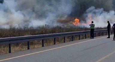Sultangazi'de otluk alanda çıkan yangın ormana sıçradı