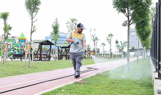 Sultangazi'de yeşil alanları ilaçlama çalışmaları sürüyor