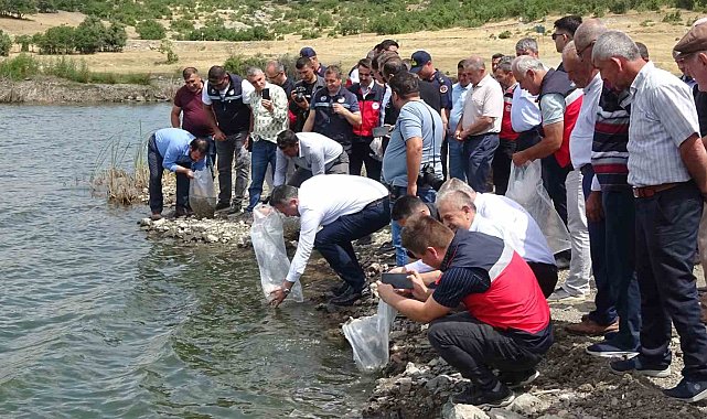 Tavşanlı göletlerine 123 bin yavru sazan bırakıldı