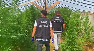 Tekirdağ'da bağ evine narkotik operasyonu: 109 kök hint keneviri ele geçirildi