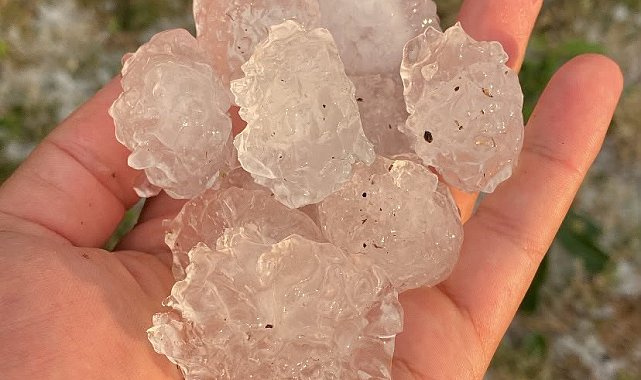Tekirdağ'da dolu ayçiçeği ve karpuz tarlalarını vurdu