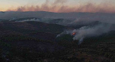 Tıfıllar Köyü'ndeki yangının boyutu gün ağırınca ortaya çıktı